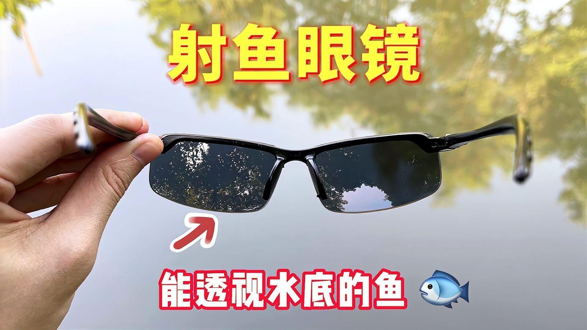 能推薦幾款適合拍攝龍魚的魚眼鏡頭嗎