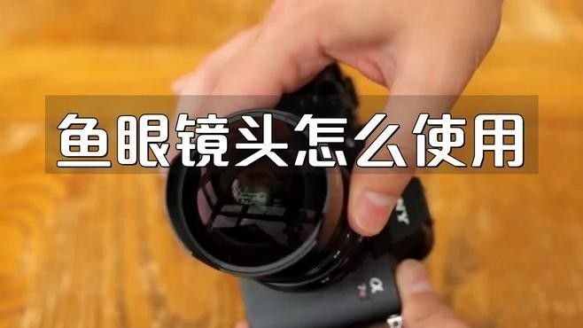 能推薦幾款適合拍攝龍魚的魚眼鏡頭嗎