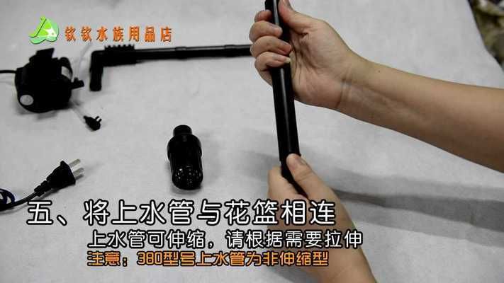 高背金龍魚的最佳飼養環境是什么，高背金龍魚的飼養方式