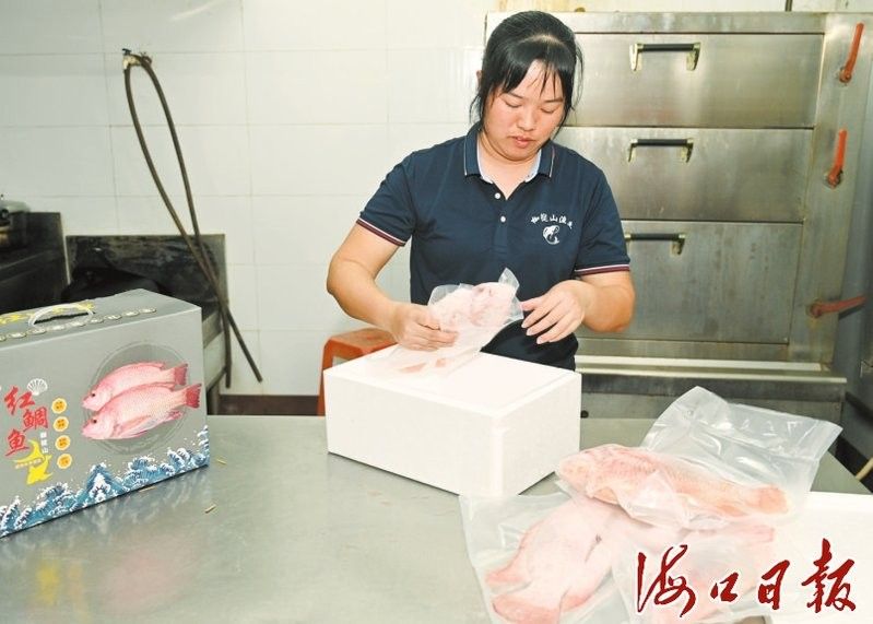 海口龍魚養殖的市場前景如何