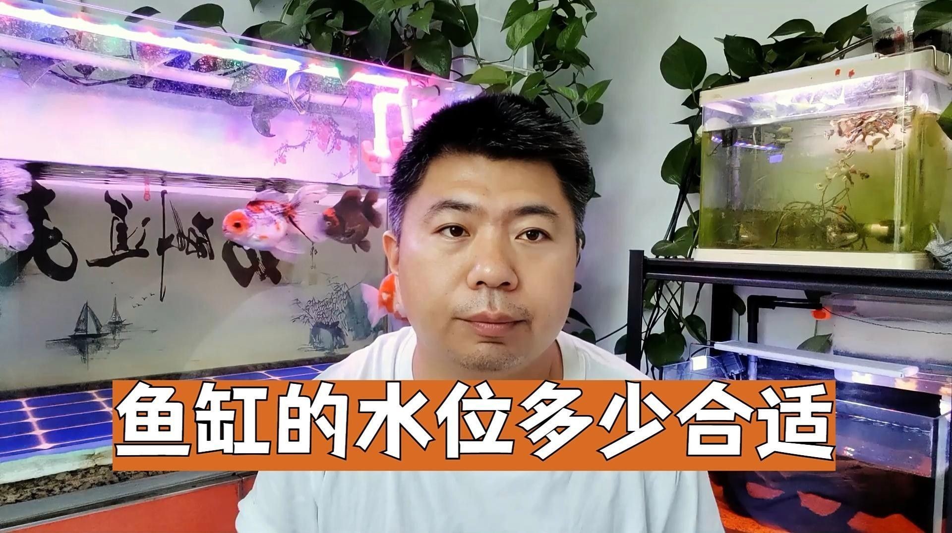 龍魚虎魚魟魚混養(yǎng)需要多大的缸（養(yǎng)魚老道聽，龍魚虎魚中魚混養(yǎng)需要多大的缸蓋？） 龍魚虎魚魟魚混養(yǎng)需要多大的缸（養(yǎng)魚老道聽，龍魚虎魚中魚混養(yǎng)需要多大的缸蓋？） 龍魚百科 第3張