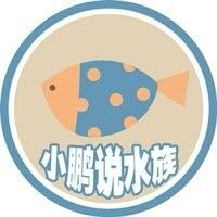 峰峰哪個水族館龍魚好？祥龍魚場龍魚（峰峰哪個水族館龍魚好）