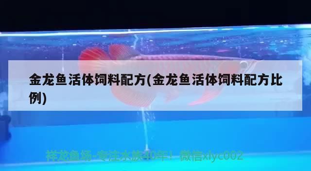 金龍魚活體飼料配方(金龍魚活體飼料配方比例)