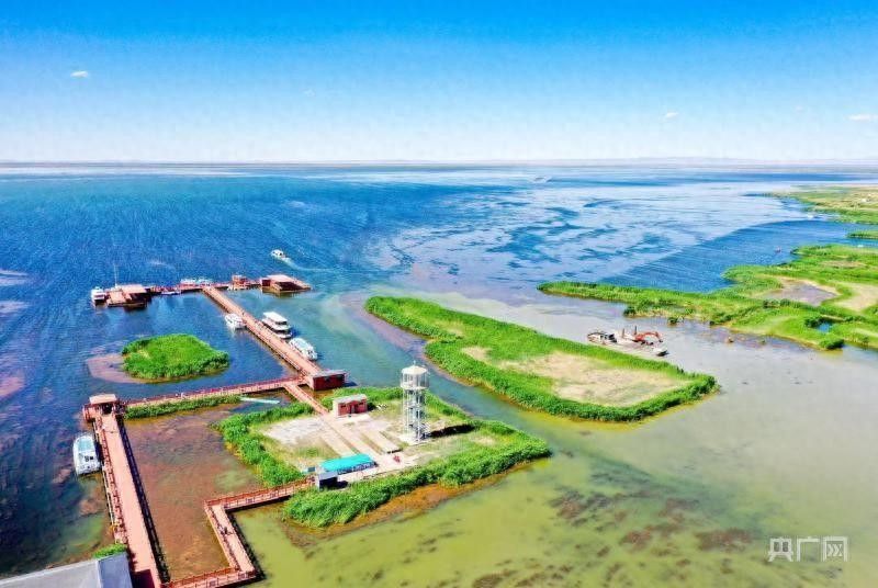巴彥淖爾龍魚養殖基地的規模有多大？（中國內蒙古自治區巴彥淖爾龍魚養殖基地公開信息）