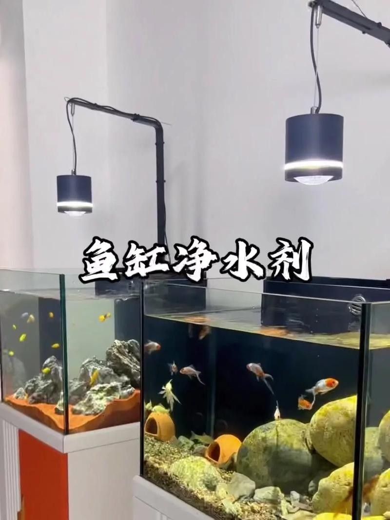 匯龍魚缸冬季工作時(shí)間如何（匯龍魚缸冬季如何保養(yǎng)）