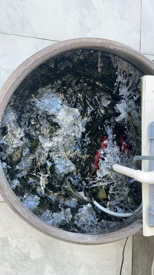 匯龍魚缸冬季工作時間如何（匯龍魚缸冬季如何保養）