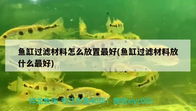魚缸過濾材料怎么放置最好(魚缸過濾材料放什么最好)（魚缸過濾材料怎么擺放最好？）