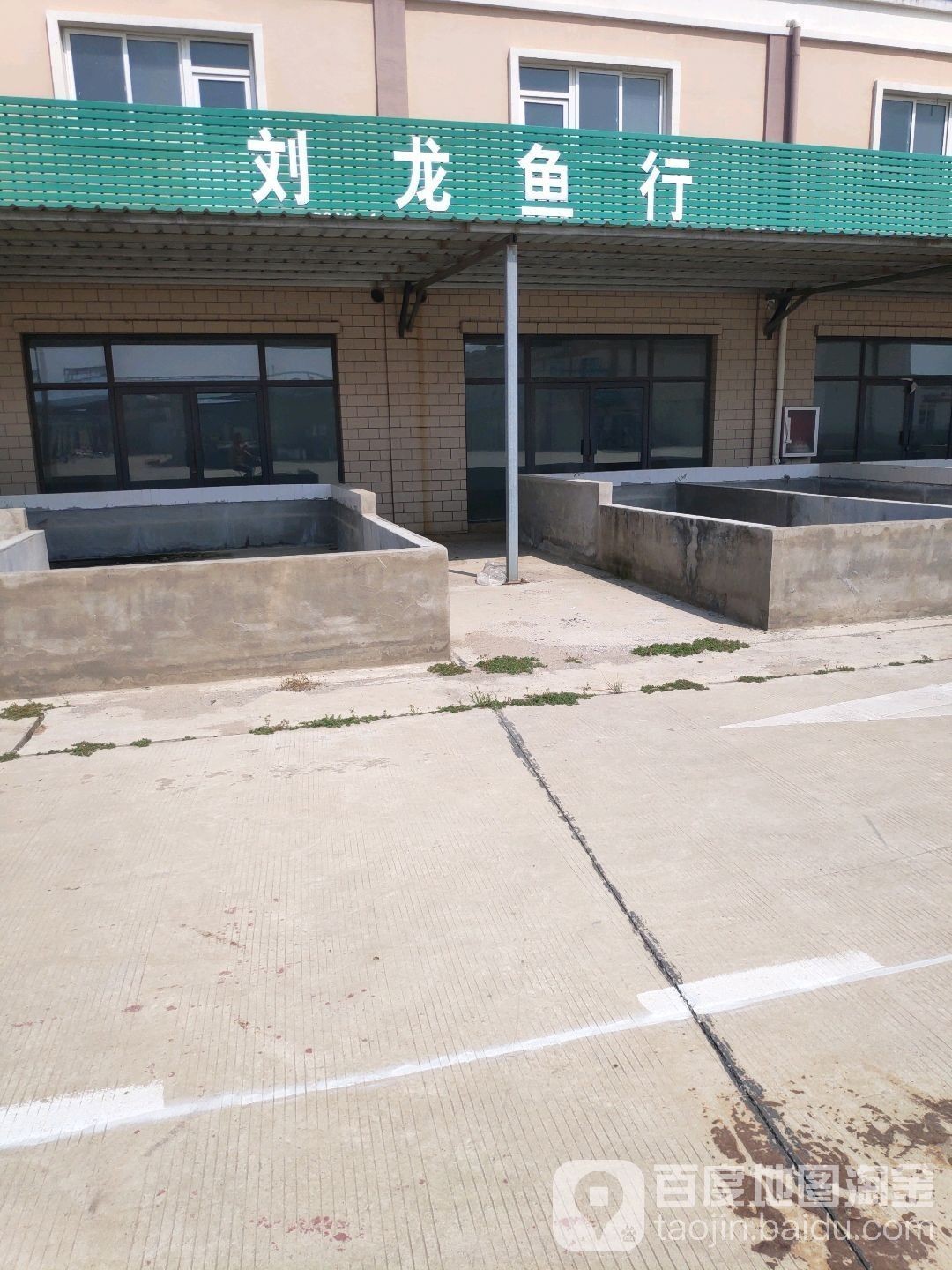 開封哪家龍魚店口碑最好（開封市有哪些口碑好的龍魚店？）