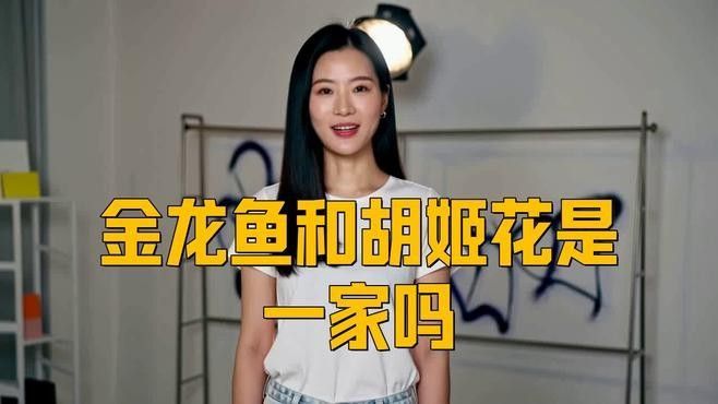 金龍魚有哪些子品牌？（金龍魚主要子品牌及其簡要介紹）