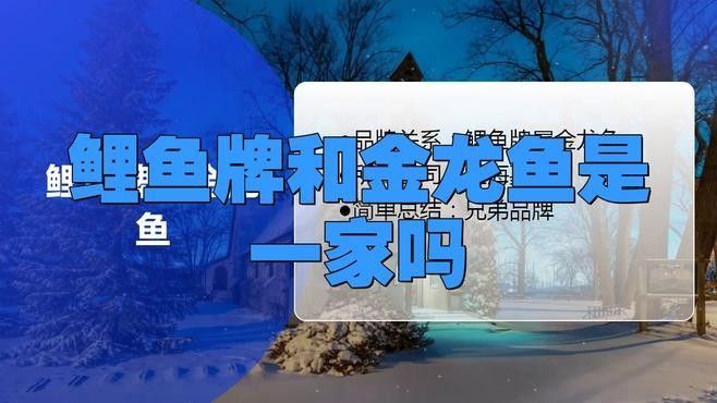 金龍魚有哪些子品牌？（金龍魚主要子品牌及其簡要介紹）