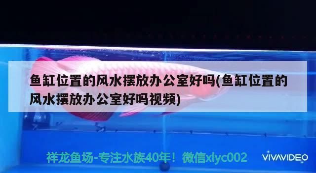 維修魚缸水泵電話(上門維修魚缸電話 24小時報修熱線) 觀賞魚百科 第5張 維修魚缸水泵電話(上門維修魚缸電話 24小時報修熱線) 維修魚缸水泵電話(上門維修魚缸電話 24小時報修熱線) 觀賞魚百科 第5張