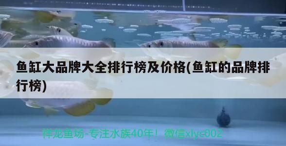魚缸大品牌大全排行榜及價格(魚缸的品牌排行榜)（魚缸大品牌十大品牌大全排行榜及價格排行榜及價格）