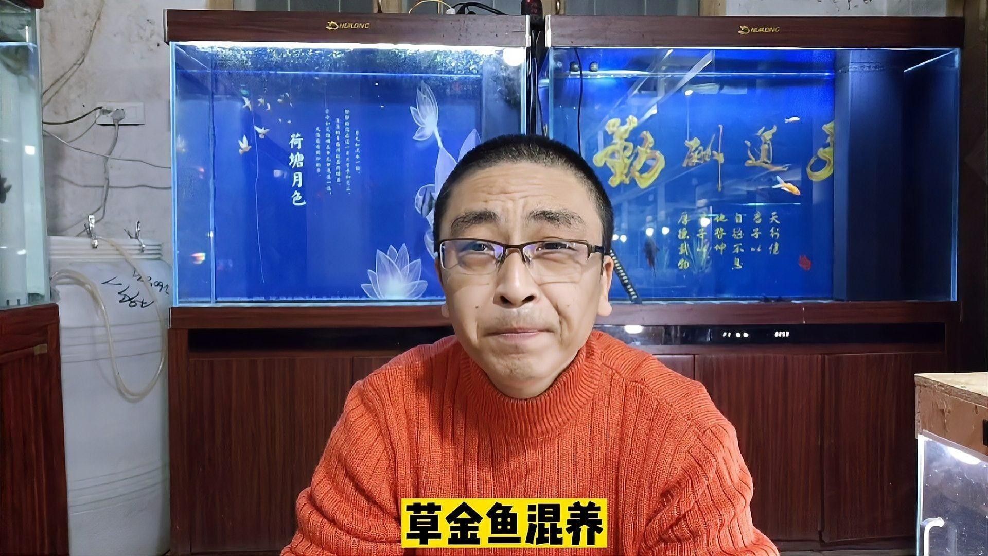 蝴蝶鯉混養(yǎng)的最佳搭配是什么？（蝴蝶鯉和錦鯉混養(yǎng)的最佳搭配是什么） 蝴蝶鯉混養(yǎng)的最佳搭配是什么？（蝴蝶鯉和錦鯉混養(yǎng)的最佳搭配是什么） 龍魚百科 第3張