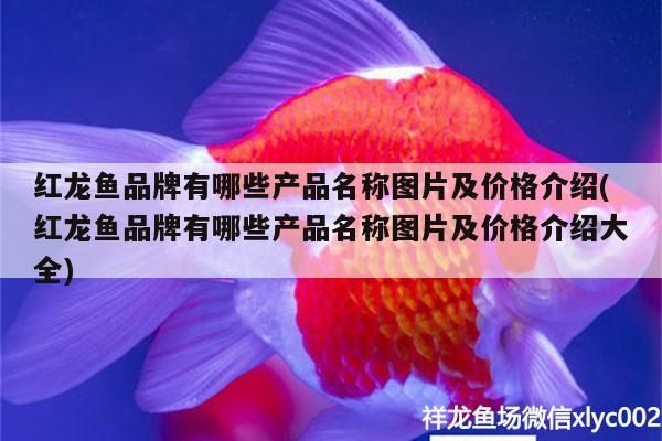 紅龍魚品牌有哪些產品名稱圖片及價格介紹(紅龍魚品牌有哪些產品名稱圖片及價格介紹大全)（養龍魚什么牌子的魚缸好）