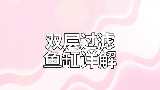 如何設置彩蝶埃及缸的過濾系統（如何設置彩蝶埃及缸過濾系統） 如何設置彩蝶埃及缸的過濾系統（如何設置彩蝶埃及缸過濾系統） 龍魚百科 第1張