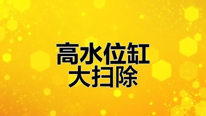 如何設置彩蝶埃及缸的過濾系統（如何設置彩蝶埃及缸過濾系統） 如何設置彩蝶埃及缸的過濾系統（如何設置彩蝶埃及缸過濾系統） 龍魚百科 第2張