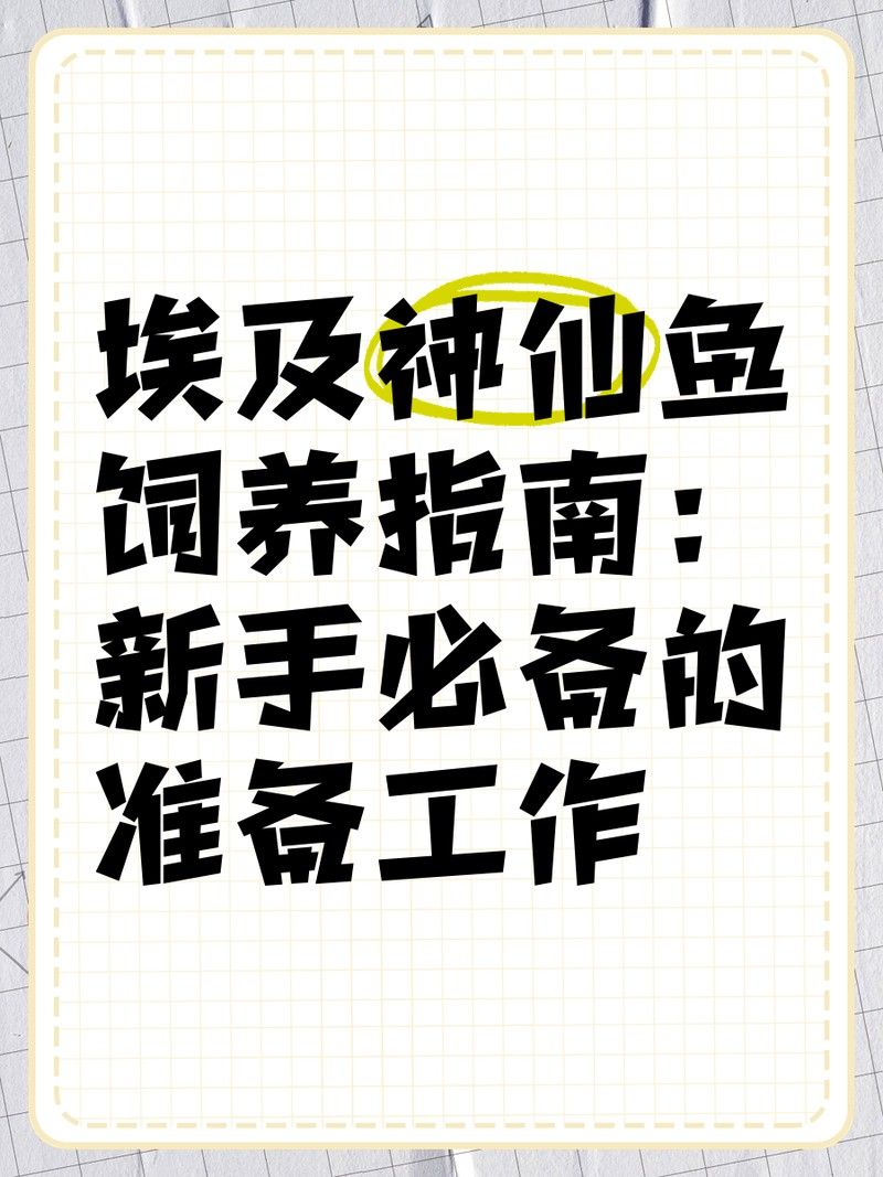 如何設置彩蝶埃及缸的過濾系統（如何設置彩蝶埃及缸過濾系統） 如何設置彩蝶埃及缸的過濾系統（如何設置彩蝶埃及缸過濾系統） 龍魚百科 第5張