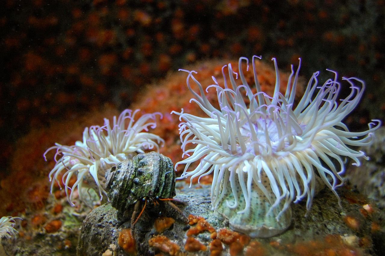 滄州魚缸架子廠家直銷價格查詢（滄州魚缸架子廠家直銷價格查詢網）（滄州地區魚缸架子廠家直銷價格查詢） 滄州魚缸架子廠家直銷價格查詢（滄州魚缸架子廠家直銷價格查詢網）（滄州地區魚缸架子廠家直銷價格查詢） 觀賞魚百科