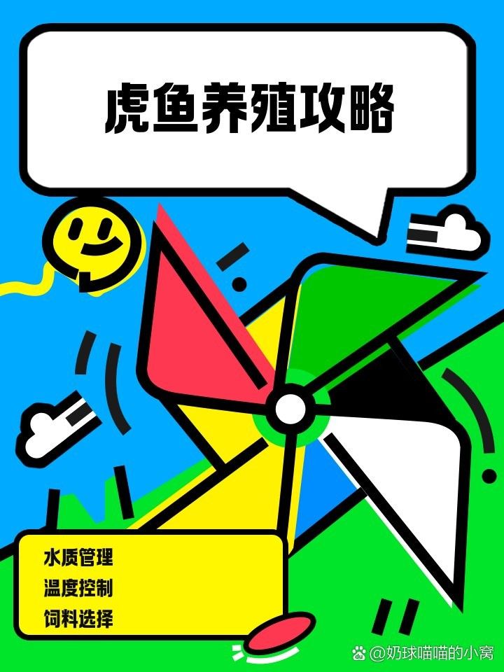 如何給虎魚喂食（如何給虎魚喂食的指南）