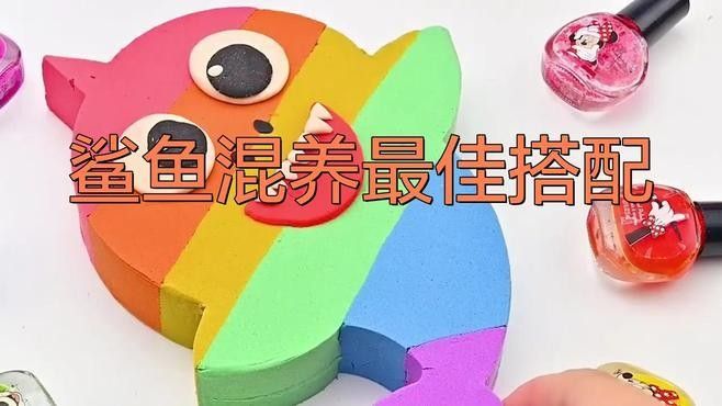 成吉思汗鯊魚和哪些魚混養比較好（成吉思汗鯊魚和龍魚混養需要注意什么？） 成吉思汗鯊魚和哪些魚混養比較好（成吉思汗鯊魚和龍魚混養需要注意什么？） 龍魚百科 第2張