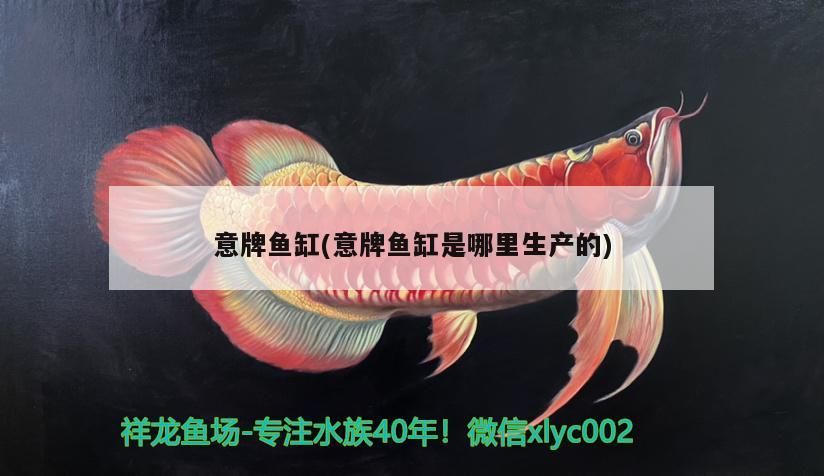 魚缸過濾器選購指南:自制魚缸過濾器魚缸上置過濾器對于養魚愛好者的必備知識 意牌魚缸(意牌魚缸是哪里生產的)(意牌魚缸是哪里生產的) 觀賞魚百科 意牌魚缸(意牌魚缸是哪里生產的)(意牌魚缸是哪里生產的) 意牌魚缸(意牌魚缸是哪里生產的)(意牌魚缸是哪里生產的) 觀賞魚百科