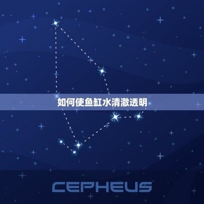 黃金貓魚和什么魚混養好看又好養（黃金貓魚叫什么魚）（黃金貓和什么魚混養好看又好養）