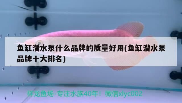 魚缸潛水泵什么品牌的質量好用(魚缸潛水泵品牌十大排名)（魚缸潛水泵什么品牌的質量好用）