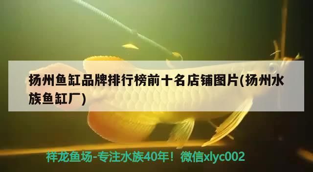 揚州魚缸品牌排行榜前十名店鋪圖片(揚州水族魚缸廠)（揚州魚缸品牌品牌排行榜）