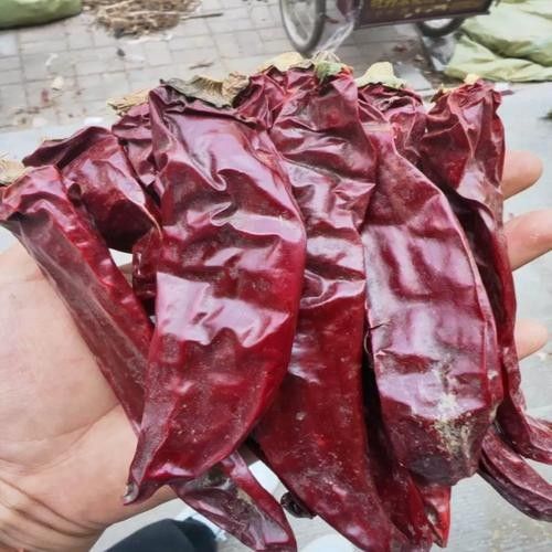 給我高清版紅金龍魚圖片（富媒體素材庫(kù)中暫無(wú)可用的紅金龍魚）