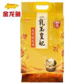金龍魚米業的主要產品有哪些（金龍魚米業哪個系列最受歡迎金龍魚米業哪個系列最受歡迎）
