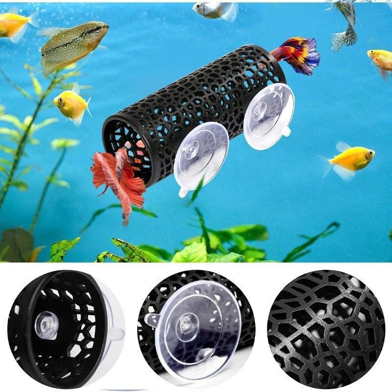 假龍魚如何裝飾家居（假龍魚擺件放在家里什么地方好） 假龍魚如何裝飾家居（假龍魚擺件放在家里什么地方好） 龍魚百科 第1張