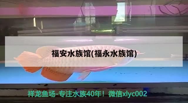 <strong><mark>福安</mark></strong>水族館(福永水族館)（深圳<strong><mark>福安</mark></strong>水族館暑假周記7篇暑假周記7篇，暑假周記7篇）