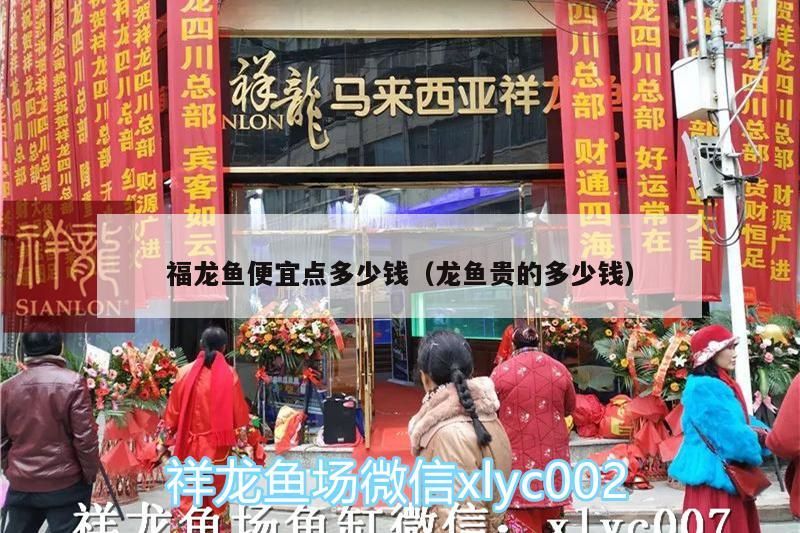魚缸用增氧泵價格是多少:魚缸增氧機-xtrac增氧機-xtrac增氧機 福龍魚便宜點多少錢(龍魚貴的多少錢)(福龍魚便宜點多少錢、福龍魚便宜點多少錢、福龍魚便宜點多少錢) 觀賞魚百科 福龍魚便宜點多少錢(龍魚貴的多少錢)(福龍魚便宜點多少錢、福龍魚便宜點多少錢、福龍魚便宜點多少錢) 福龍魚便宜點多少錢(龍魚貴的多少錢)(福龍魚便宜點多少錢、福龍魚便宜點多少錢、福龍魚便宜點多少錢) 觀賞魚百科