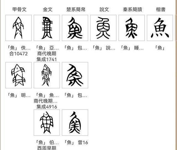 B過金龍魚爬背需要多長時(shí)間?(b過金龍魚爬背需要多長時(shí)間) 龍魚百科 第2張 B過金龍魚爬背需要多長時(shí)間?(b過金龍魚爬背需要多長時(shí)間) B過金龍魚爬背需要多長時(shí)間?(b過金龍魚爬背需要多長時(shí)間) 龍魚百科 第2張