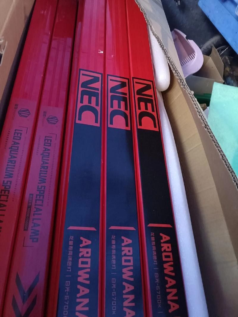 博特NEC燈的價格是多少？（nec龍魚專用燈的價格）