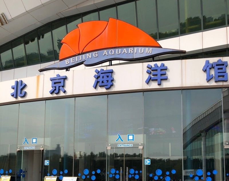 龍魚生活館的地址在哪里？（上海魚生活館的地址位于上海市浦東新區世紀大道100號）