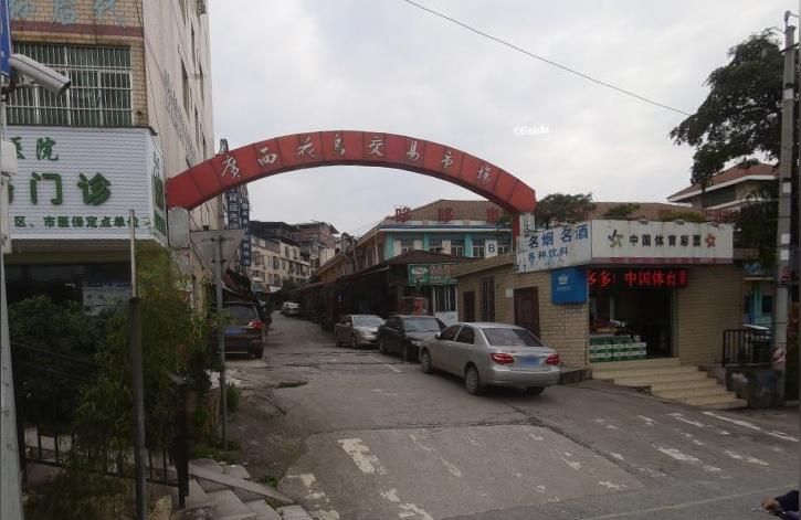 南寧觀賞魚（南寧市的觀賞魚養殖業）