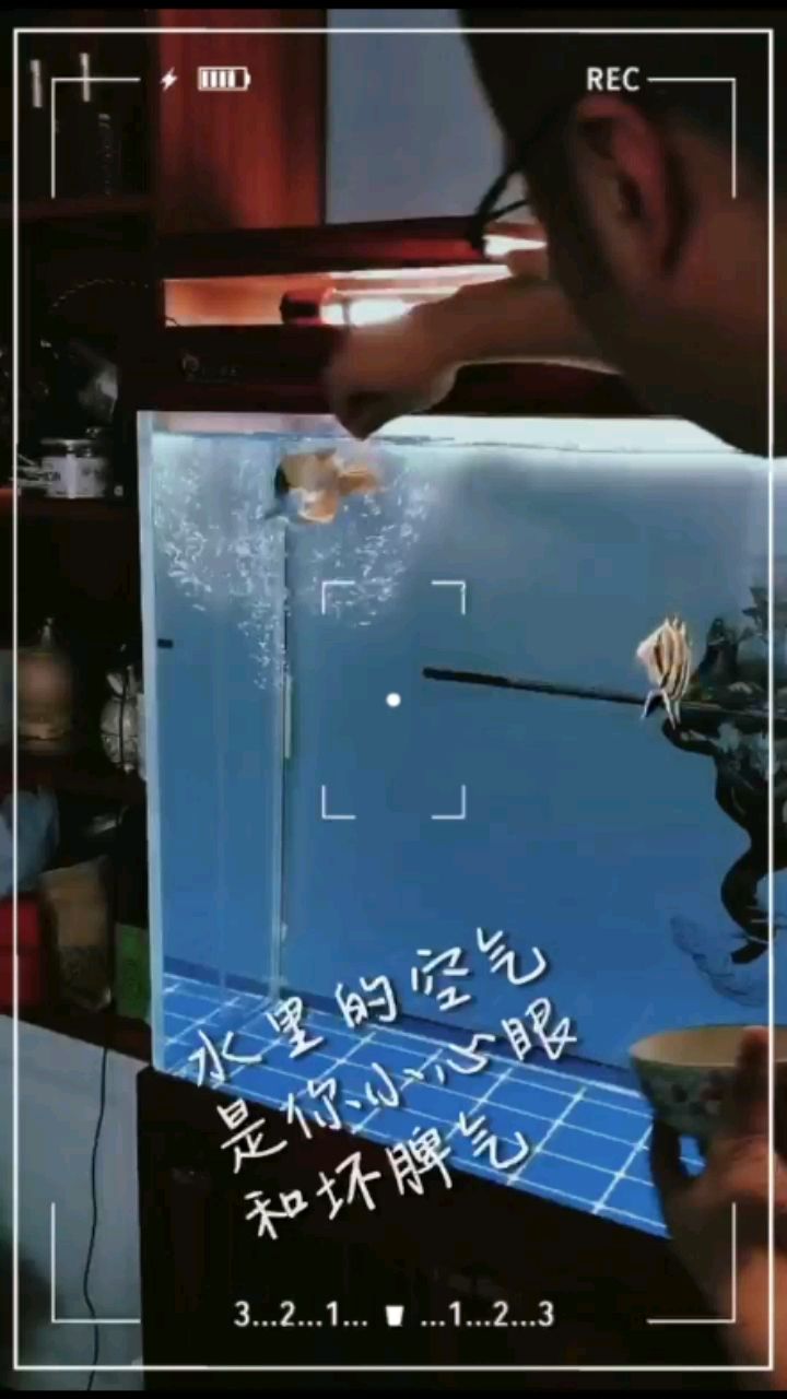 我是一只魚（我是一只魚，一只快樂的魚）