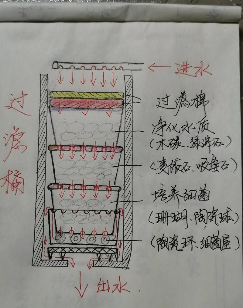 如何為紅龍魚提供穩定的水質？（家養紅龍魚的正確飼養方法） 如何為紅龍魚提供穩定的水質？（家養紅龍魚的正確飼養方法） 龍魚百科 第14張