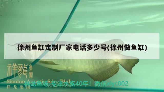 徐州魚(yú)缸定制廠家電話多少號(hào)(徐州做魚(yú)缸)