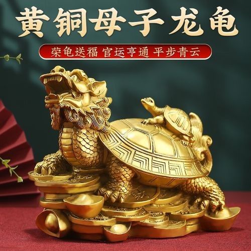 龍龜品牌中哪個性價比最高（八卦金錢龜中哪個品牌性價比最高）