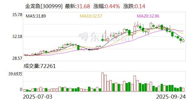 金龍魚上市后股價表現如何（金龍魚上市后的股價表現呈現以下幾個方面進行探討） 金龍魚上市后股價表現如何（金龍魚上市后的股價表現呈現以下幾個方面進行探討） 龍魚百科 第4張