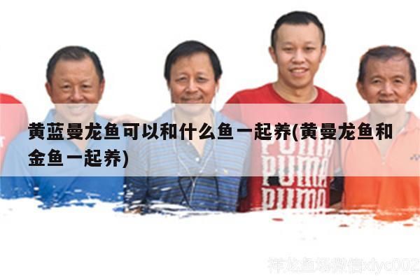 龍魚燈用什么顏色的燈泡（誰知道怎么自制魚缸保溫蓋）（如何自制魚缸保溫蓋） 龍魚燈用什么顏色的燈泡（誰知道怎么自制魚缸保溫蓋）（如何自制魚缸保溫蓋） 觀賞魚百科 第2張