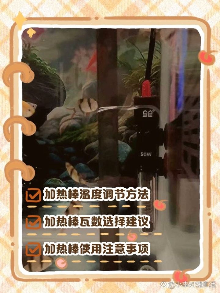 如何設置加熱棒并控制溫度 如何設置加熱棒并控制溫度 龍魚百科 第2張