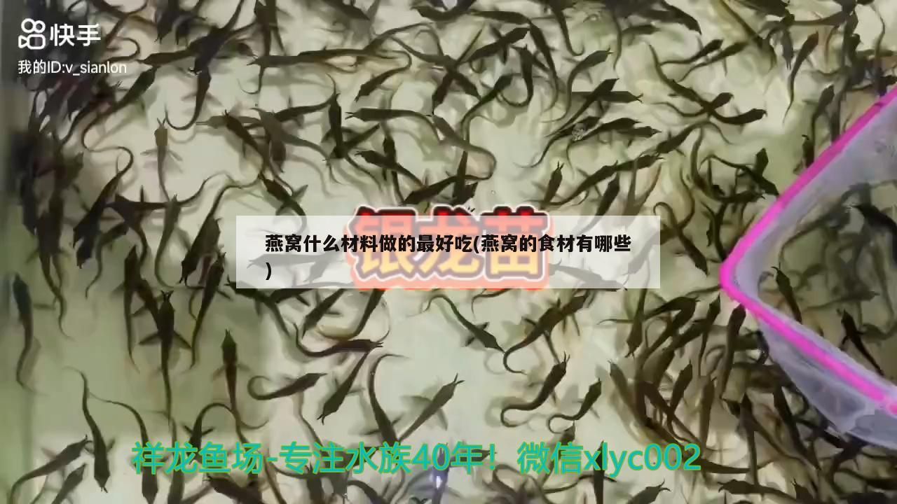 燕窩什么材料做的最好吃(燕窩的食材有哪些) 燕窩什么材料做的最好吃(燕窩的食材有哪些) 觀賞魚百科