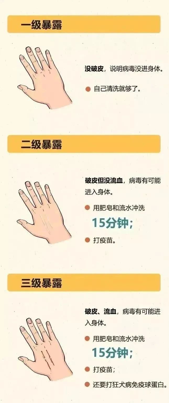 龍魚(yú)咬傷后多久內(nèi)注射疫苗有效