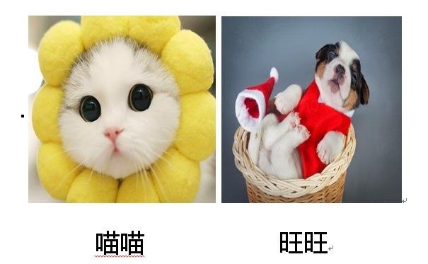 龍魚(yú)咬傷后多久內(nèi)注射疫苗有效