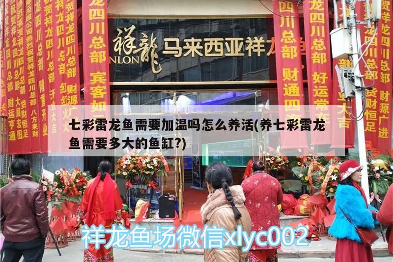 七彩雷龍魚需要加溫嗎怎么養活(養七彩雷龍魚需要多大的魚缸?)