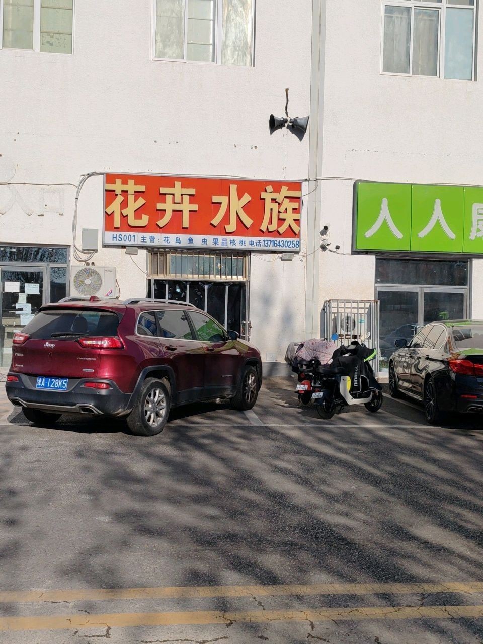 桃山哪個水族館龍魚好？祥龍魚場龍魚 桃山哪個水族館龍魚好？祥龍魚場龍魚 龍魚百科 第2張