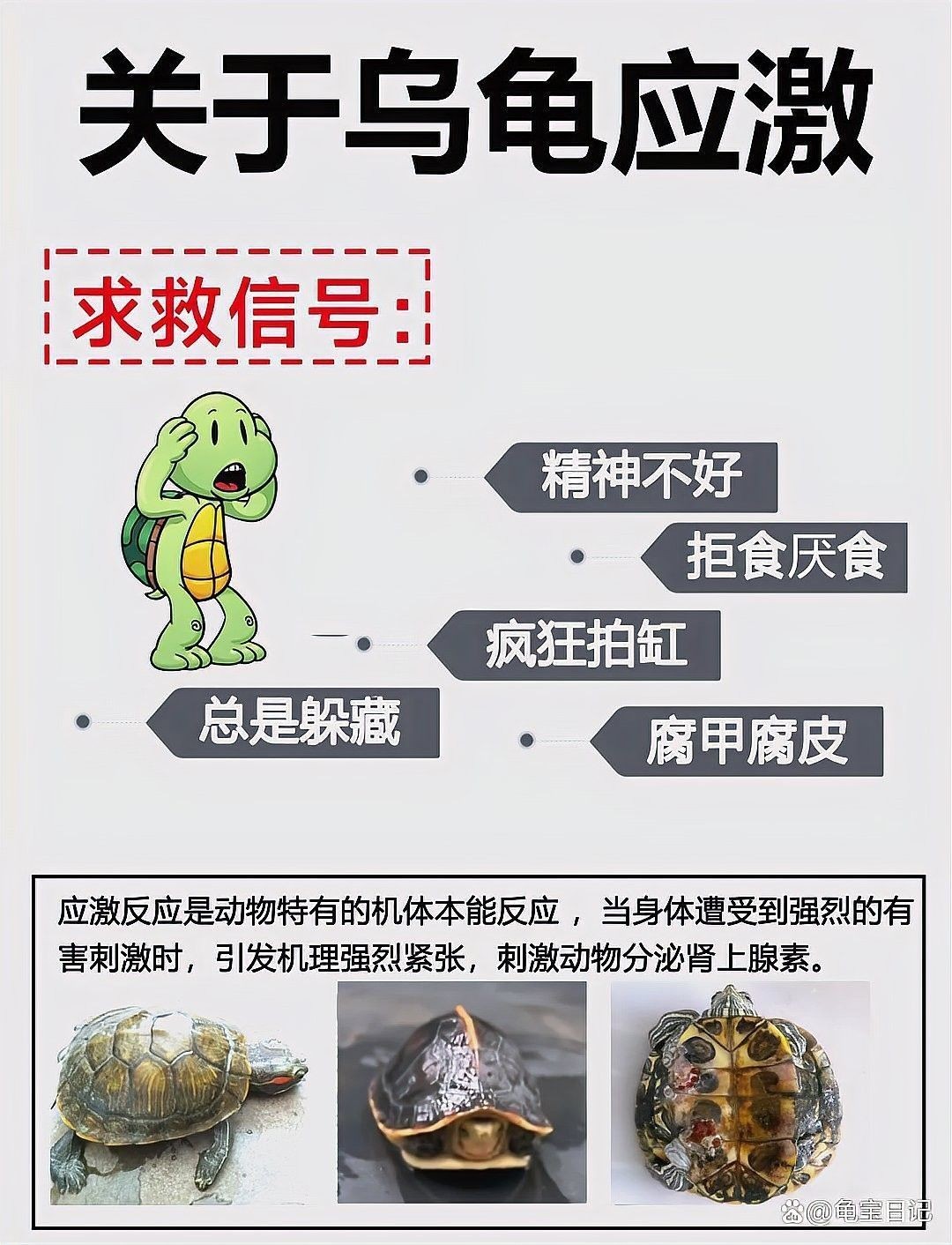 如何降低火焰龜的攻擊性